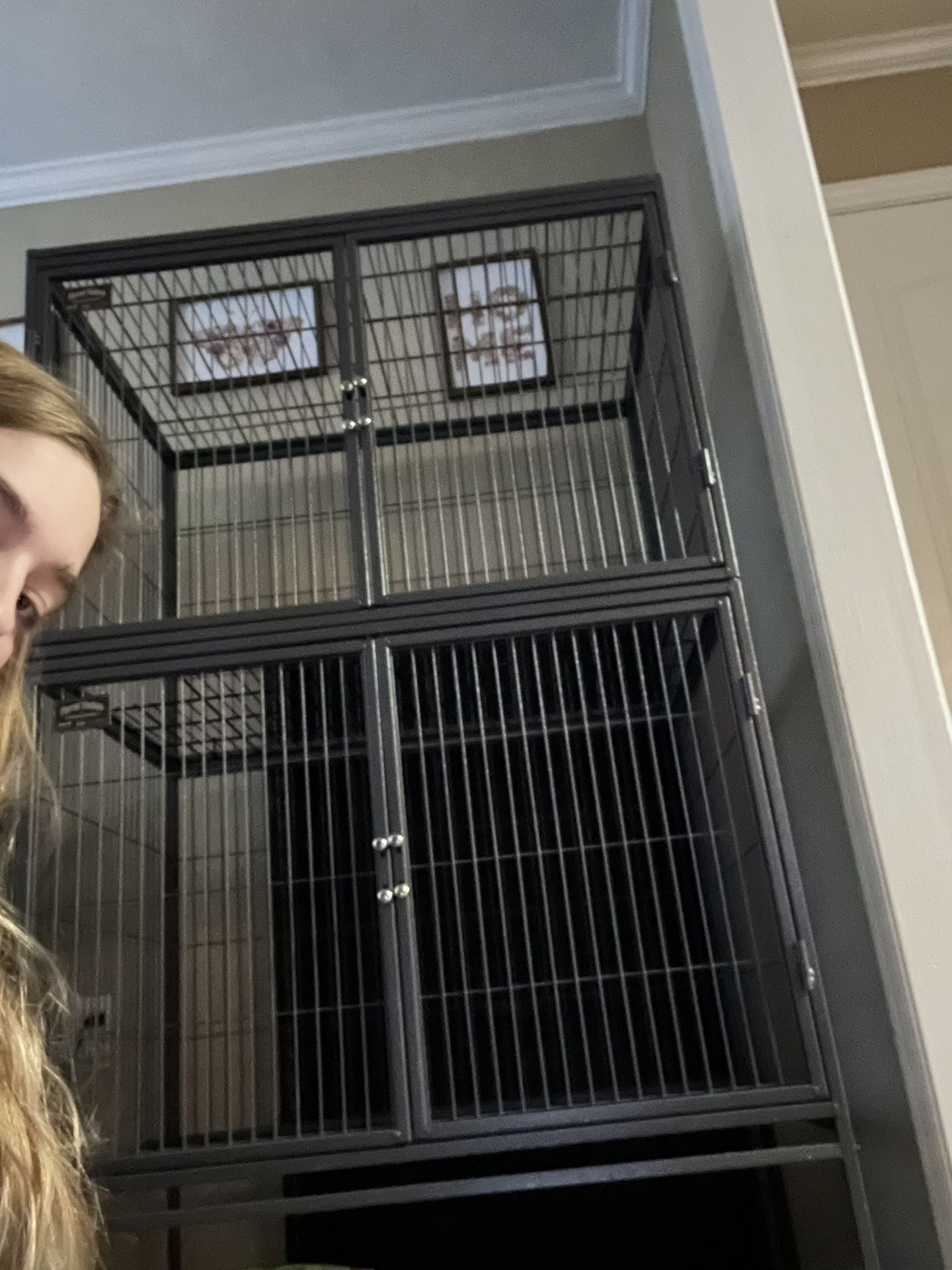 Double Story Ferret Nation Cage Model 182