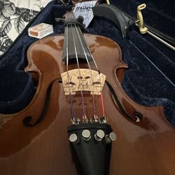 Viola