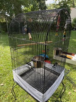 Bird cage