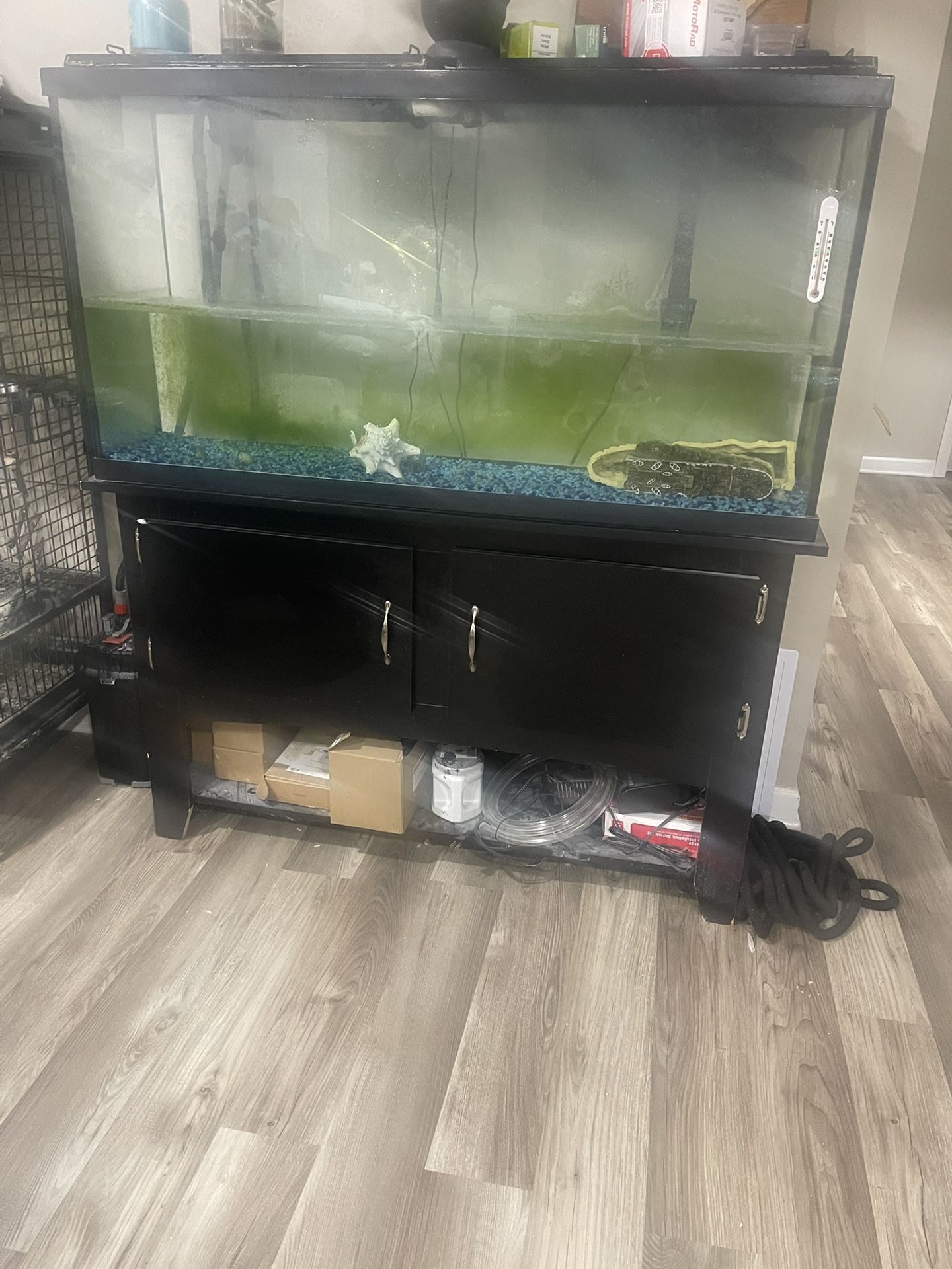 Fish Tamk 300 Gallon