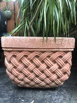 4 Large Concrete Planters With Plants Included