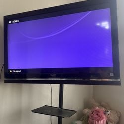 50” TV with Rolling Stand 