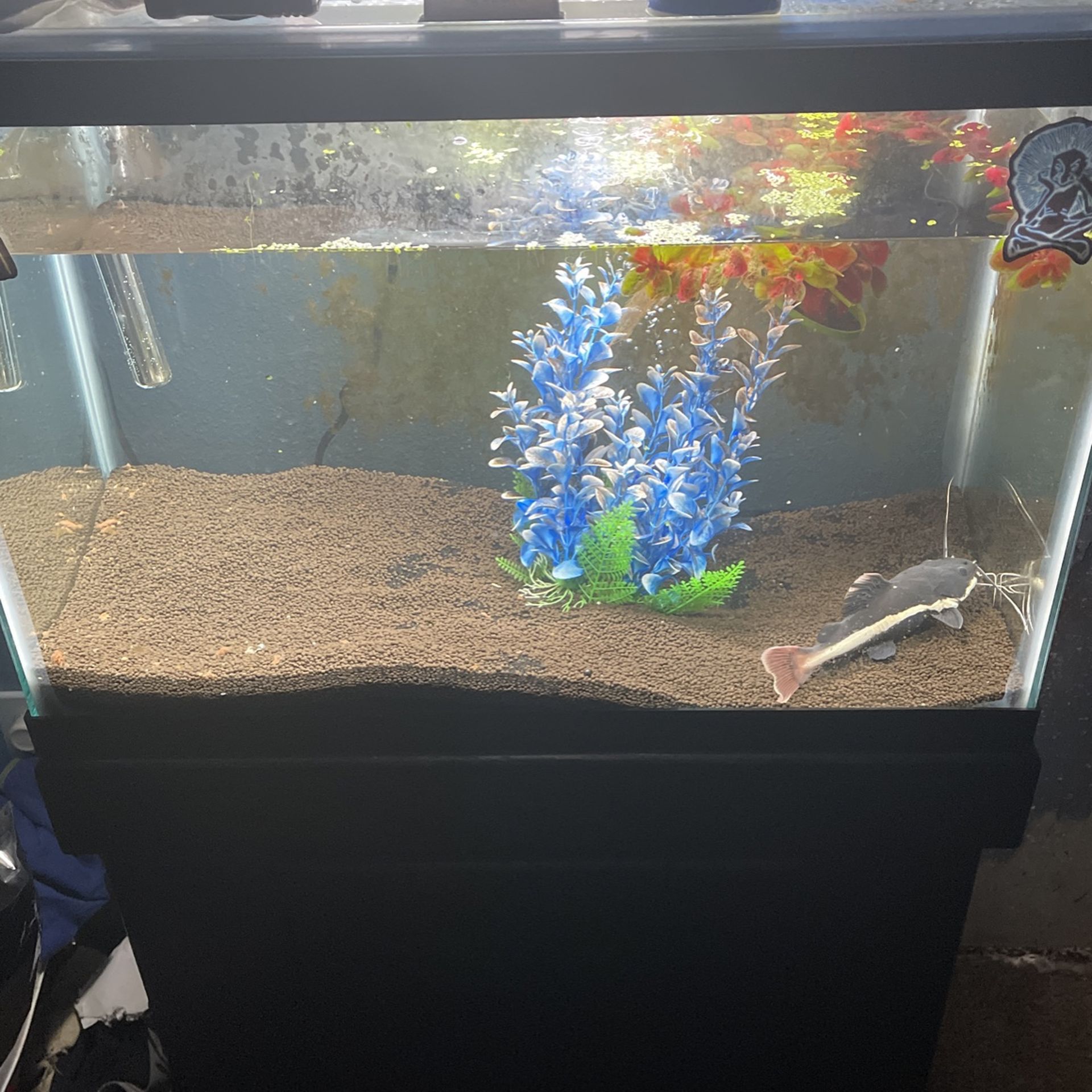 Fish Tank And Stand