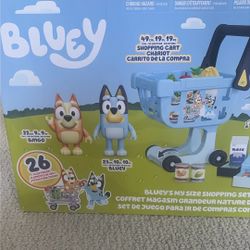 Bluey Shopping Set