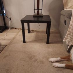 20x20. 18" H Black End Tables (2)
