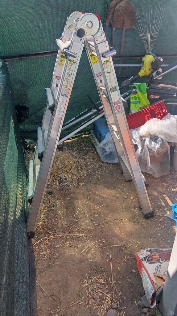 Ladder