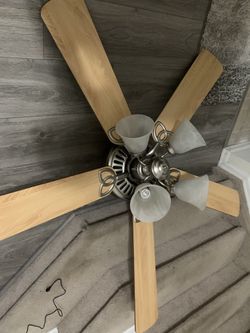 Ceiling fan