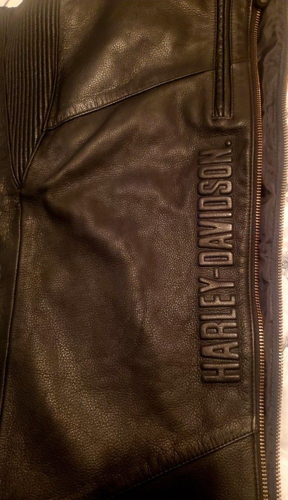 Harley Davidson Chaps