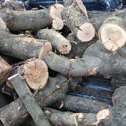 $100 Truckload of dry almond wood