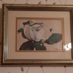Framed Magnolia picture 
by C Bellou.