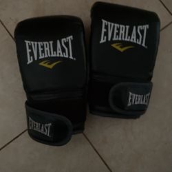 Everlast Gloves