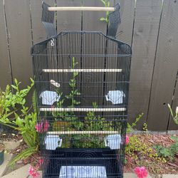 Birds Cage 