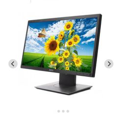 Dell P1820h monitor 
