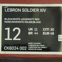 LeBron Soldier XIV