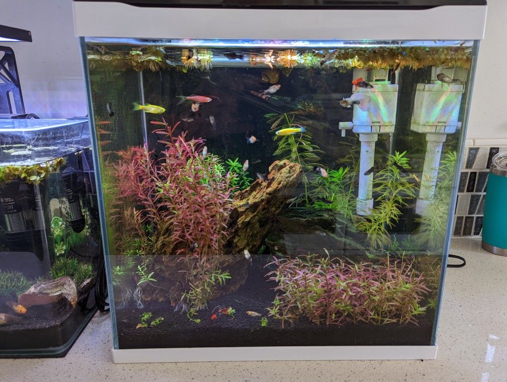 Fish Tank Decor