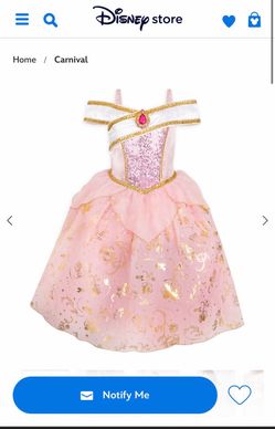 Sleeping Beauty Disney costume