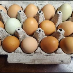 Farm Fresh Free Range Chicken Eggs
