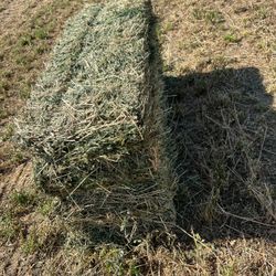2nd Cutting Alfalfa Hay