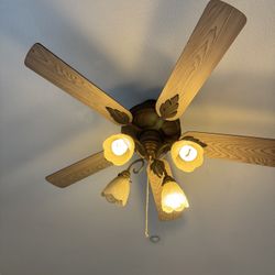Ceiling Fan