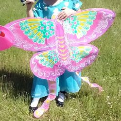 Chinese Butterfly Kite 