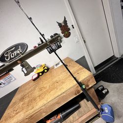 Seeker Rod & TLD30 2 Speed