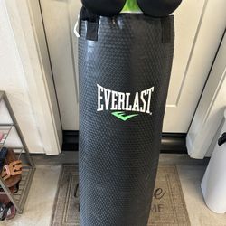 Everlast Heavy Bag. 