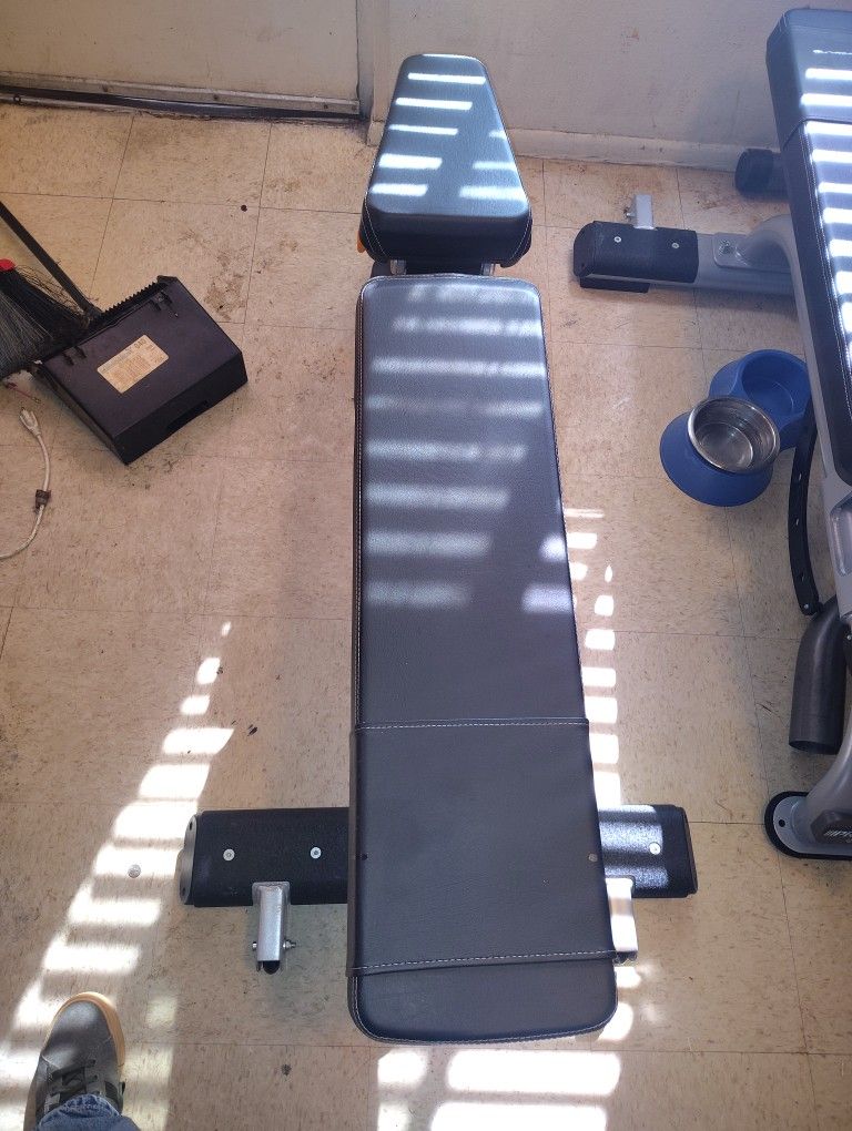 Weight Bench 