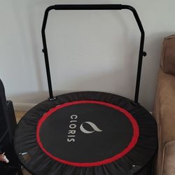 Exercise Trampoline 