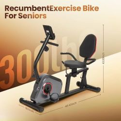 🥨Recumbent Exercise Bike Stationary Bike Exercise Bikes for Home with 8 Levels Magnetic Resistance 300 LBS Weight Capacity LCD Monitor Heart Rate