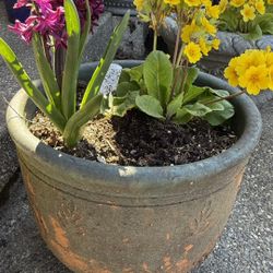 Ceramic planter with flowers  Used, but still in good condition  No more need it. Pick up only