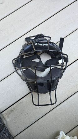 Baseball face protector thing