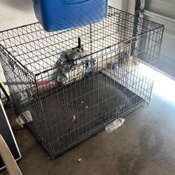 Dog Kennel