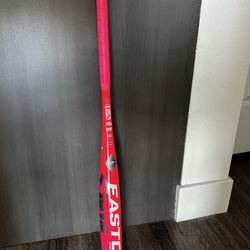 NEW Easton Fastpitch Softball bat 29 inch -10