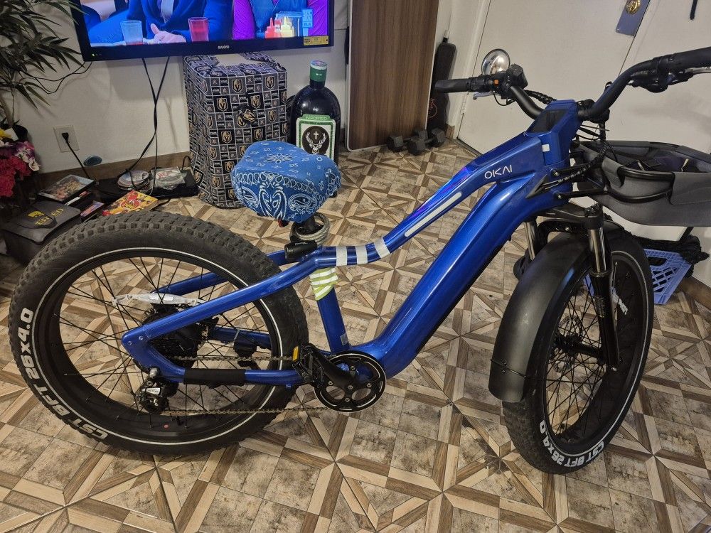 Electric Bike