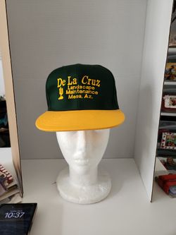 De La Cruz Landscape snapback hat