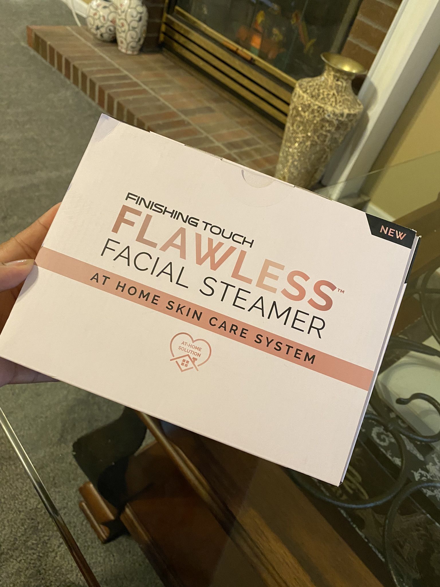 Facial Steamer