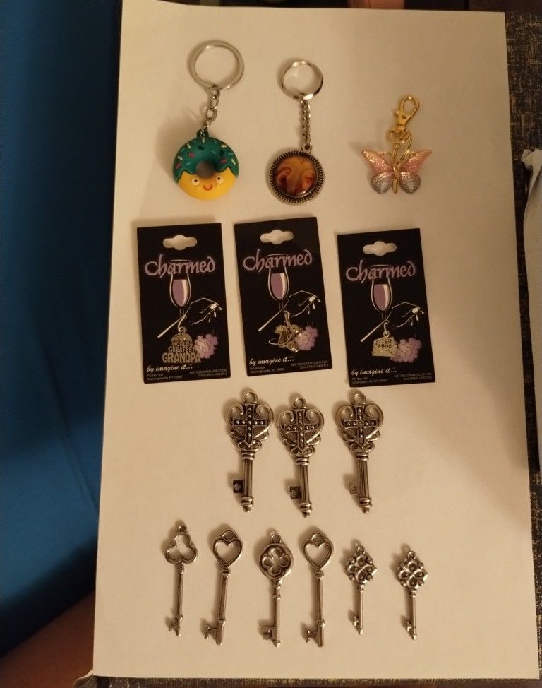 Key Pendants Assorted Charms And Keychain Lot