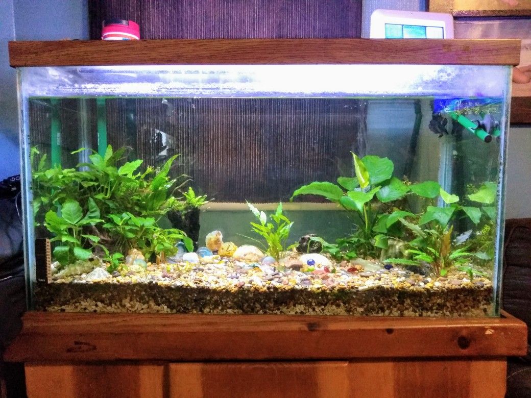 Fish Tank With Stand for 29Gallon tank