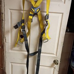Fall Protection Harness