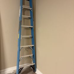 8 Foot Ladder 