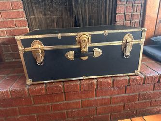 Storage  trunk