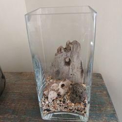 FISH BOWL/FEMALE BETTAS/FROGS/ TERRARIUM