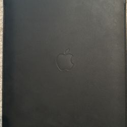 Apple iPad Sleeve