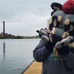 Mascot Costume