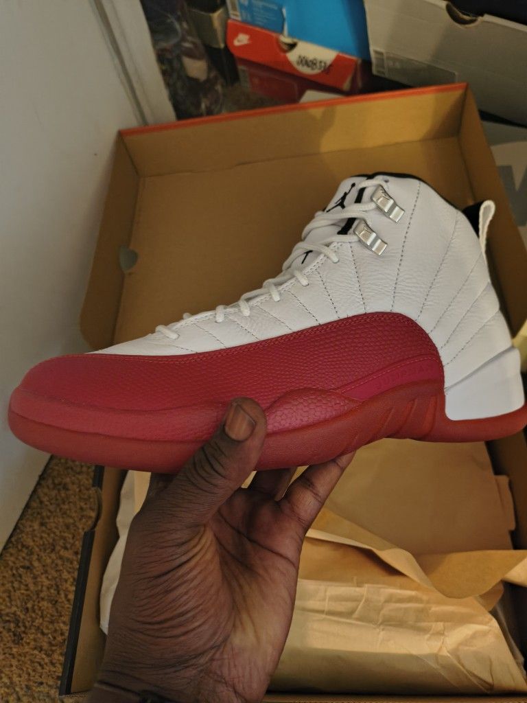 Nike Air Jordan Cherry 12s Size 10