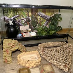 40-Gallon Reptile Setup Everything Included!
