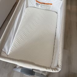 Bedside Crib / Cuna Colecho