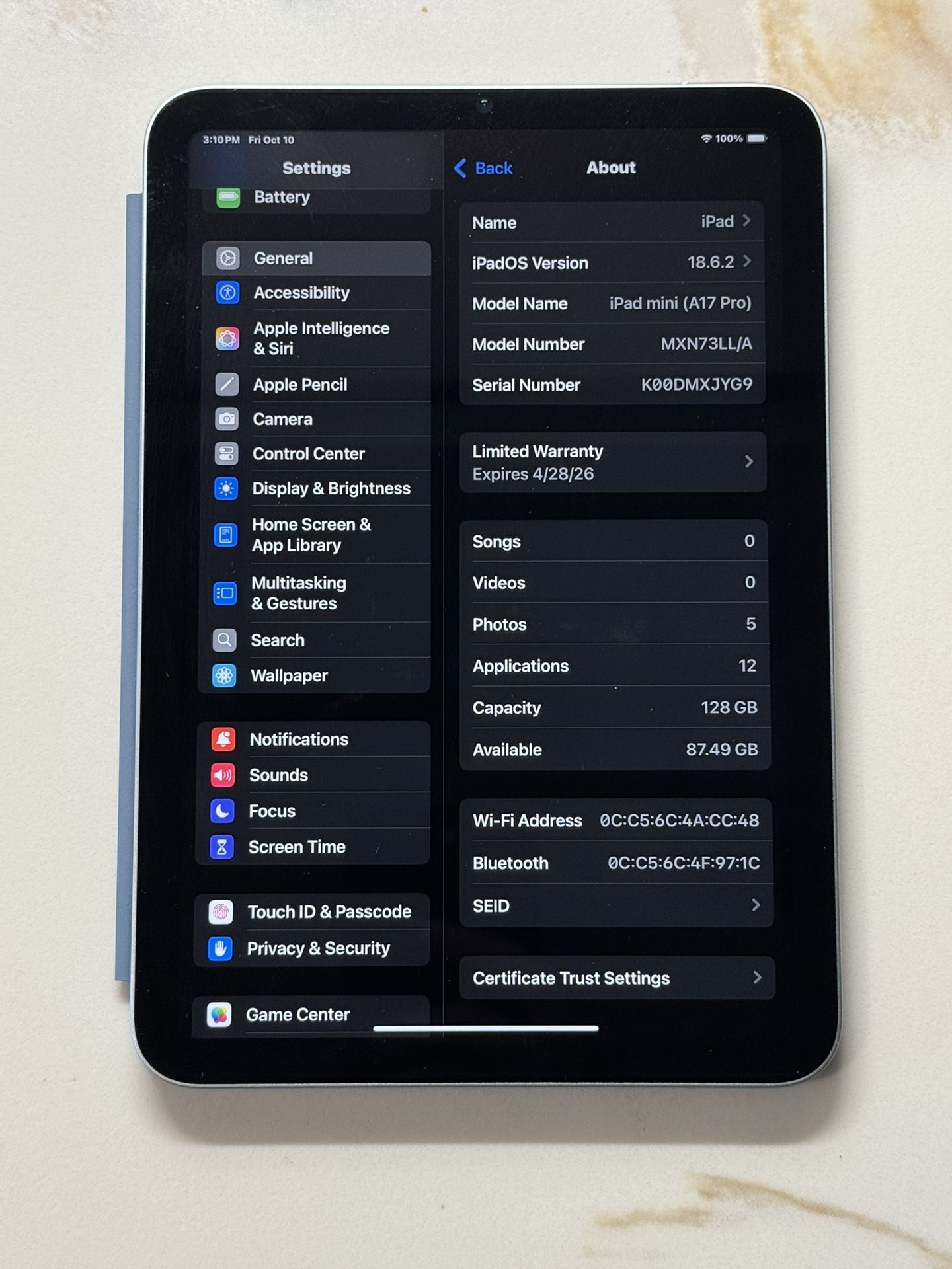 Apple iPad mini Wi-Fi 128 GB Blue