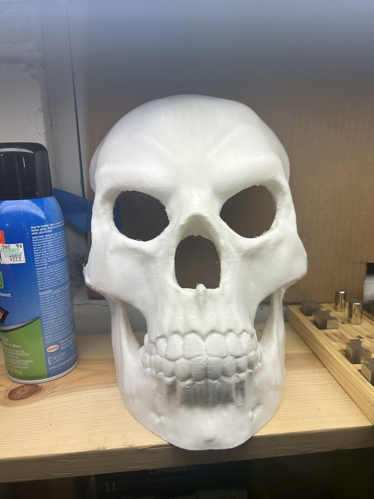3d Printed Skull