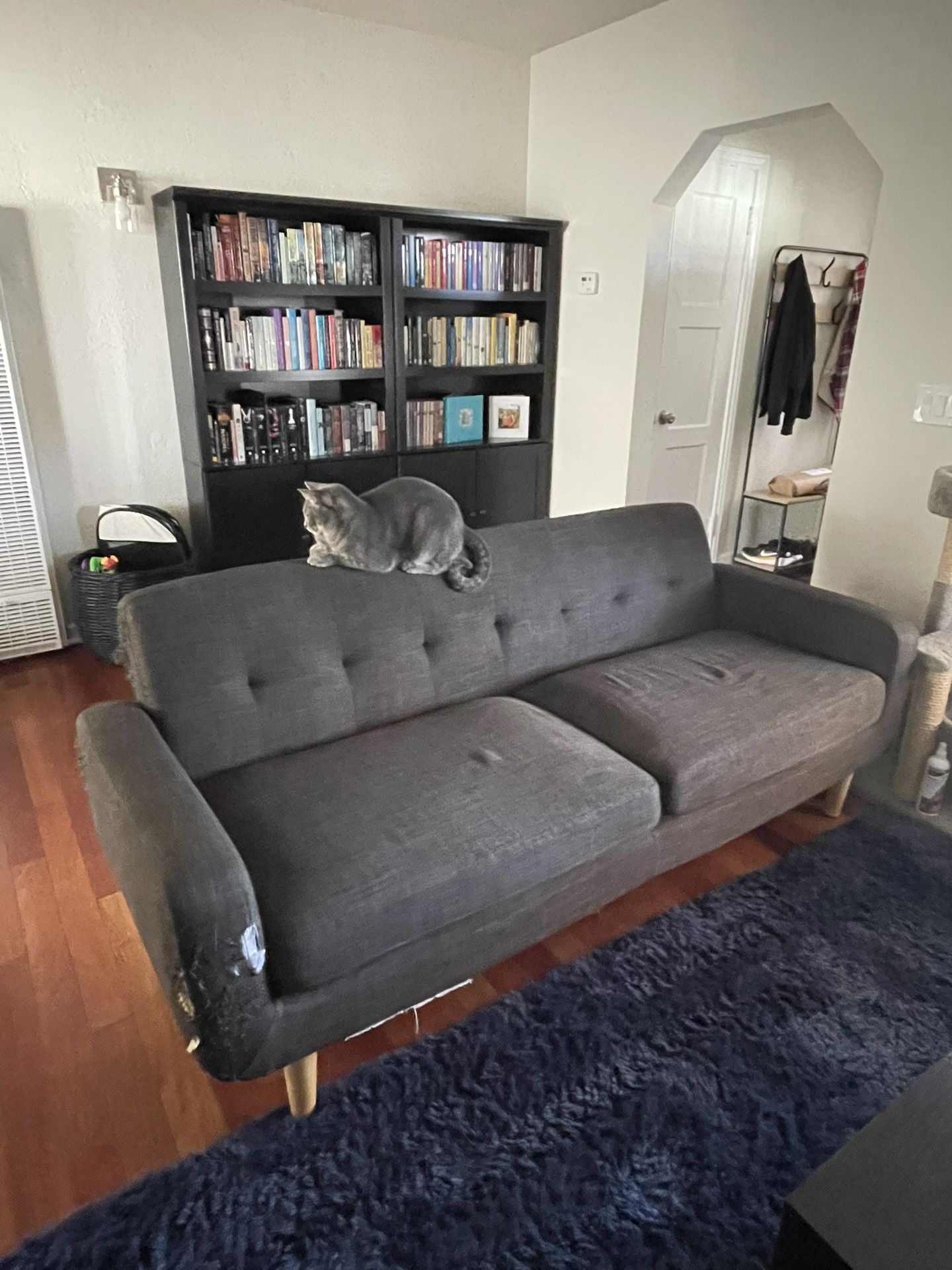 Free Couch
